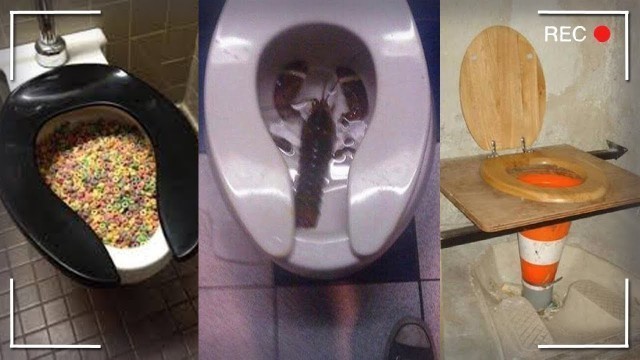 'Weird Pictures of Toilets'