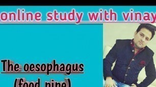 'The oesophagus(or food pipe)/online study with vinay'