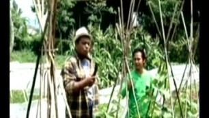 'Food Story - YUM Organic Farm Cipanas @kompasTV'