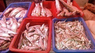 'Chinese Fish Market, Wuhan, China'