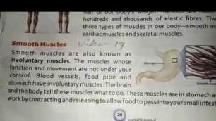 'Class 5 Science smooth muscles video 19'