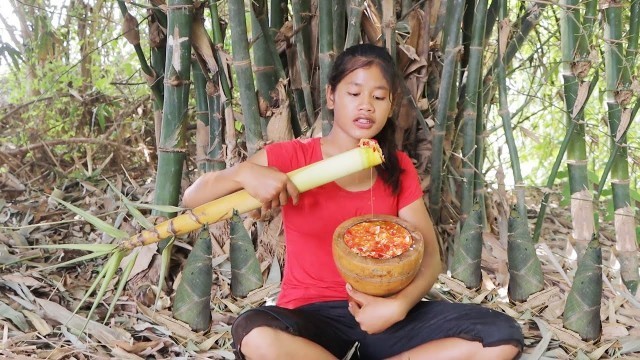 'Survival skills in forest: Bamboo shoot Vs chili sauce so eating delicious'