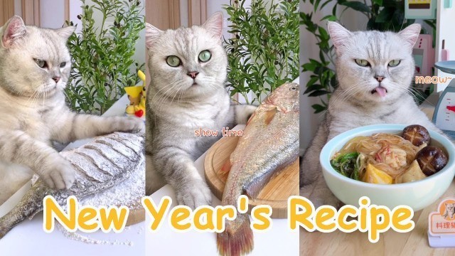 'Funny Chef Cat Makes MaLaTang & Fried Fish || Chinese Food Recipes   || Cat Cooking Food Compilation'