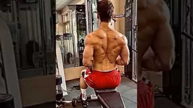 'machine back workout 