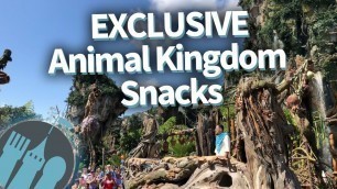 20 EXCLUSIVE Disney World Snacks You Can ONLY Get at Animal Kingdom!