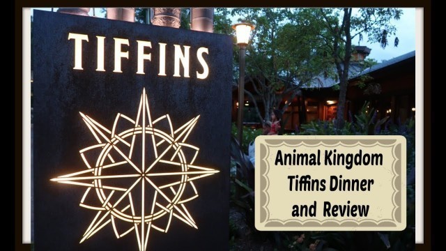 Disney World Animal Kingdom TIFFINS Restaurant Dinner & Review