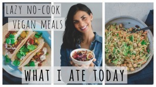 'WHAT I ATE TODAY | lazy no-cook vegan meals | healthy + easy'