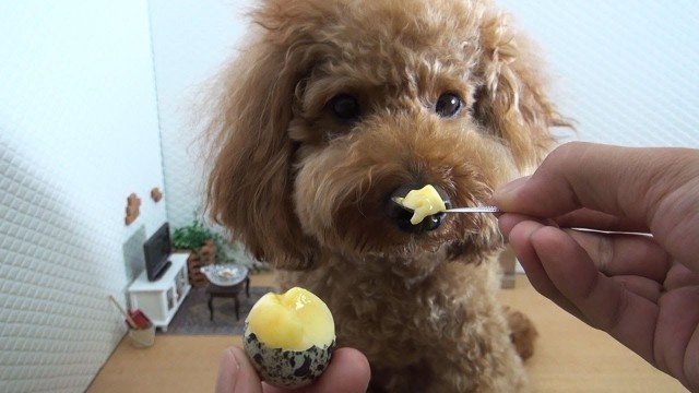 'Mini Food Pudding 食べれるミニチュアプリン/Edible by dogs! Miniature pudding!'