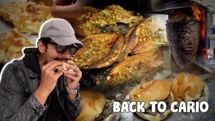 'BACK TO STREET FOOD IN CAIRO - EXTREME LEVEL Egyptian Shawarma, Shhrimps Sandwich & Dinameet'