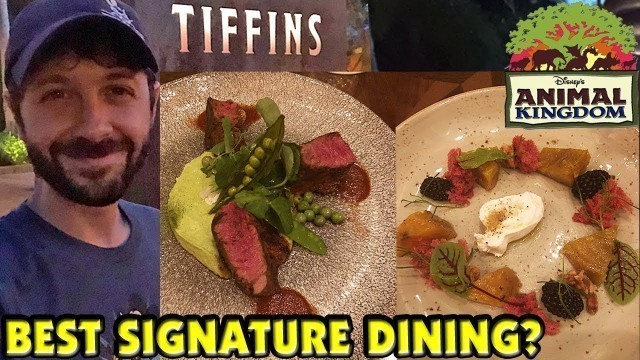 TIFFINS at Animal Kingdom - The BEST Signature Dining in Walt Disney World?