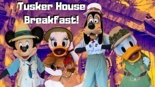 DINING REVIEW: Donald's Safari Breakfast at Tusker House Restaurant | Disney's Animal Kingdom