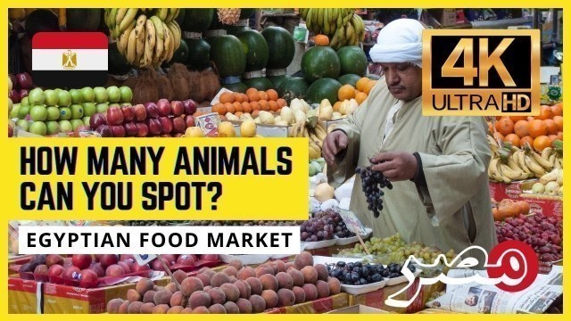 '【HD EGYPT WALKING TOUR】Most Unbelievable Street Food Market in Alexandria, Egypt'