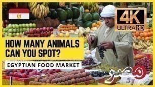 '【HD EGYPT WALKING TOUR】Most Unbelievable Street Food Market in Alexandria, Egypt'