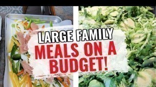 'COOK WITH ME | LARGE FAMILY MEALS ON A BUDGET | WHAT\'S FOR DINNER?'