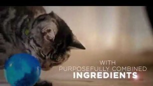 'Purina ONE Urinary Tract Health Dry Cat Food, Urinary Tract Health Formula - 3.5 lb. Bag Reviews'