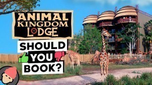 DISNEY'S ANIMAL KINGDOM LODGE REVIEW: Meeting Expectations?