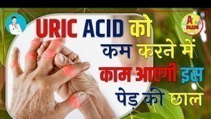 'Uric Acid को कम करने में असर दिखाती है इस एक पेड़ की छाल | Uric Acid Gout Diet in Hindi |'