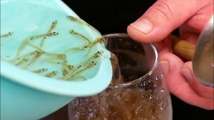 'Japanese Street Food - DANCING ICE FISH Okinawa Seafood Japan'