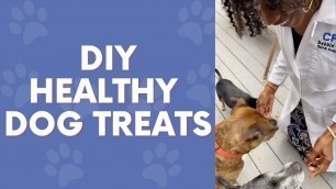 'Homemade + Healthy Dog Snacks | Easy Dog Food Recipe - #shorts'