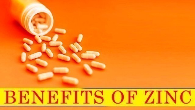 'Foods High In Zinc : Amazing  Benefits Of Zinc - Health and Fitness'