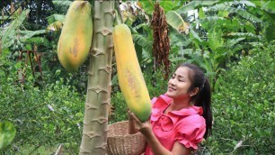 'Pick Ripe Papaya Behind Grandma\'s House / Easy And Healthy Food Recipe'