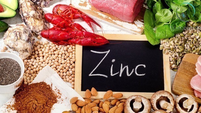 'Top Zinc Rich Foods you Never miss (increase the Immunity Power & Lifespan) || Zinc Deficiency'