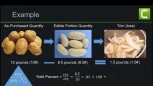 'Yield Percent'