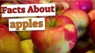 Facts about apples [health tips]