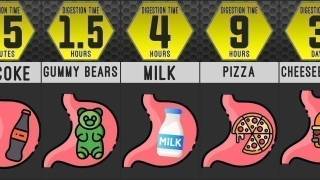 'FOOD DIGESTION TIME Comparison : How Long Does it Take to Digest These Foods?'