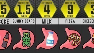 'FOOD DIGESTION TIME Comparison : How Long Does it Take to Digest These Foods?'