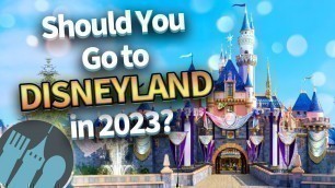 'Should You Go to Disneyland in 2023?'