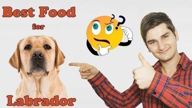 Best Dog Food For 