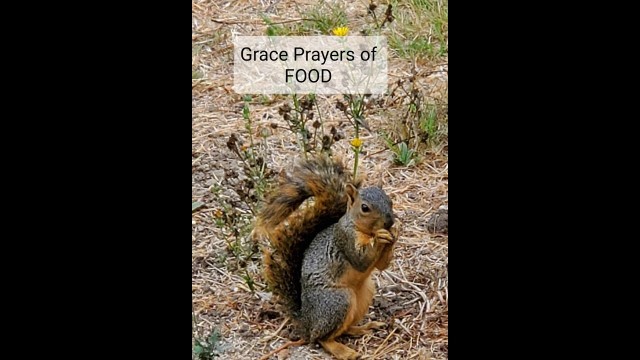 'Food Grace Prayers'