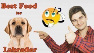 Best Dog Food For 