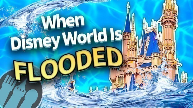 'What Happens When Disney World Floods?'