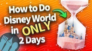 'How to Do Disney World in ONLY 2 Days'