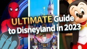 'The ULTIMATE Guide to Disneyland in 2023'