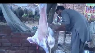 'How To Cut Whole Mutton Street Food - Bakra Katne Ka Tarika Easy - Bakre ko kese kata Jata Ha'