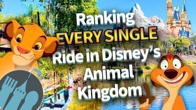 'Ranking EVERY SINGLE Ride in Disney’s Animal Kingdom'