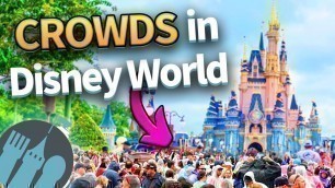 '50 Ways to Avoid the Crowds in Disney World'