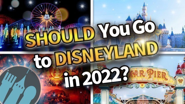 'Should You Go to Disneyland in 2022?'