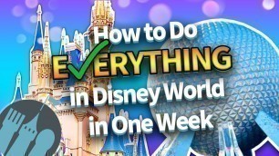 'How to Do EVERYTHING in Disney World in One Week'