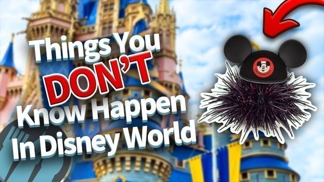 '25 Incredible Things You Don\'t Know Happen in Disney World'