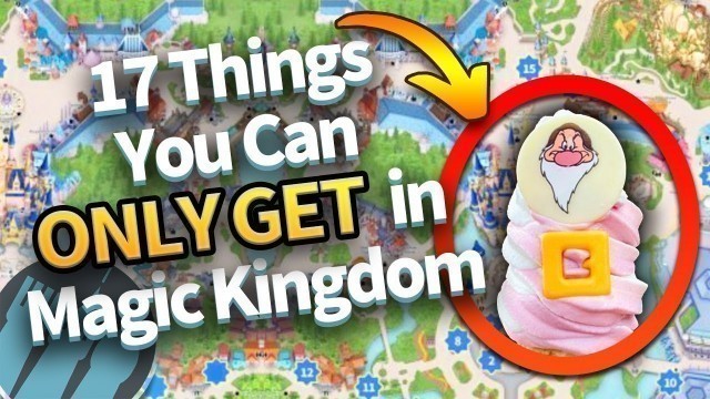 '17 Things You Can ONLY GET in Magic Kingdom'