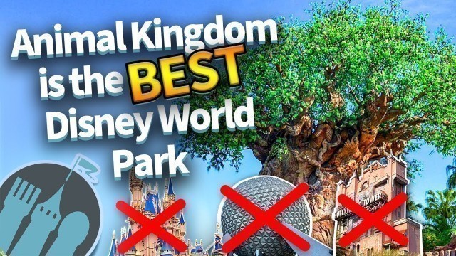 'Animal Kingdom is the BEST Disney World Park'