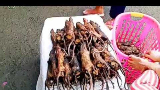 'Wuhan, China wet market - Animal food market where coronavirus affected'