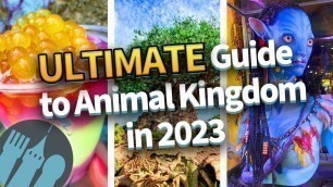 'The ULTIMATE Guide to Animal Kingdom in 2023'