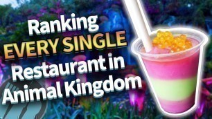 'Ranking EVERY SINGLE Restaurant in Disney\'s Animal Kingdom'