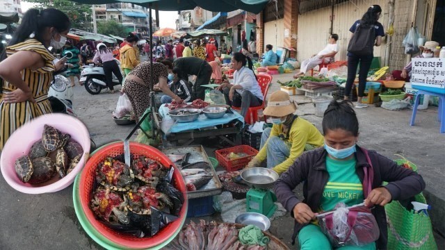 'Evening Daily LifeStyle Of Vendors @Kandal Market - Evening Street Food Market Scene in Town'