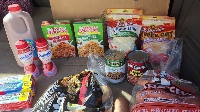 'Quick Food Town Discount Store Grocery Haul-Trunk Edition'